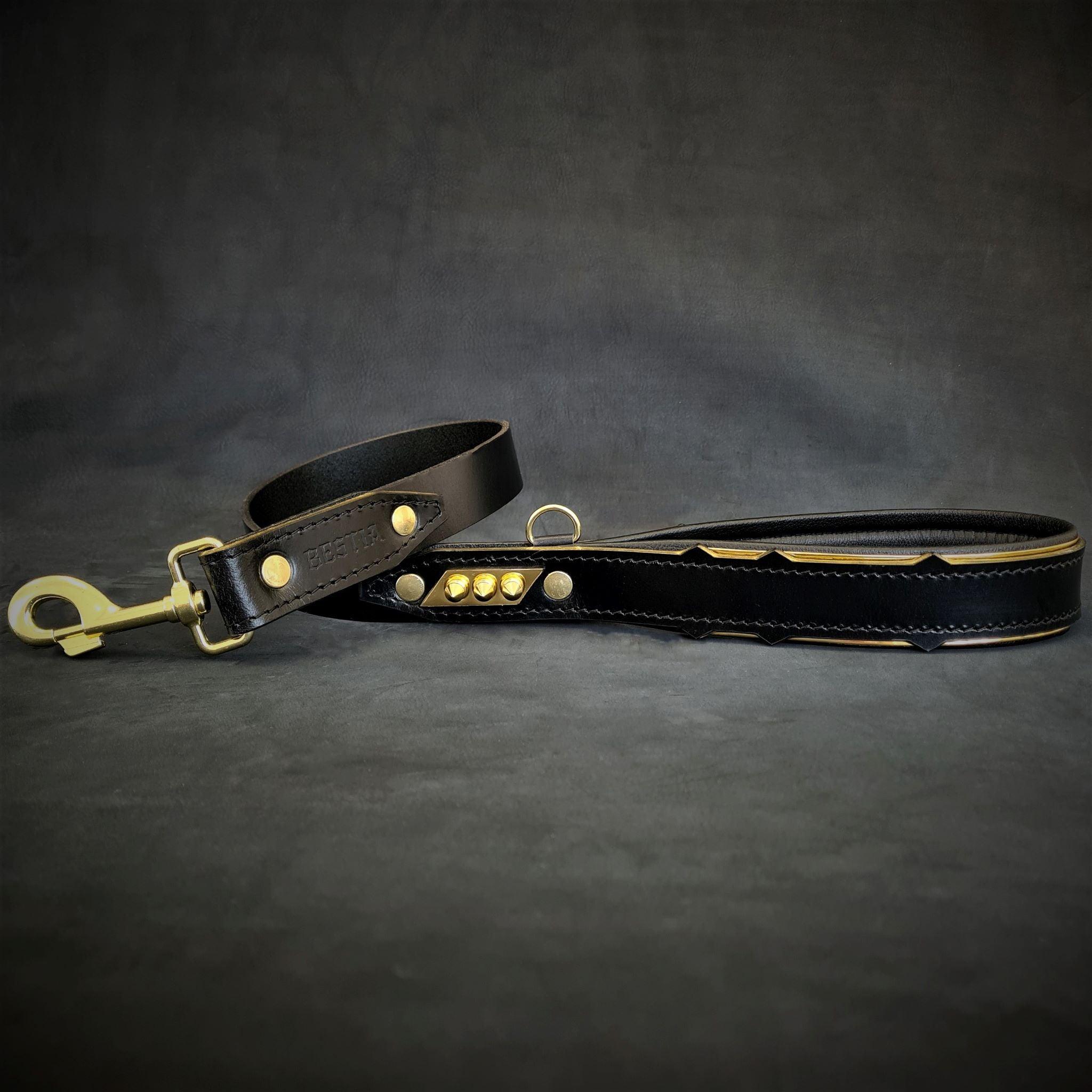 The ''Midas'' Collar Gold by Bestia Dog Gear