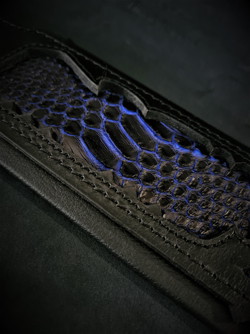 The ''Indigo'' collar by Bestia Dog Gear