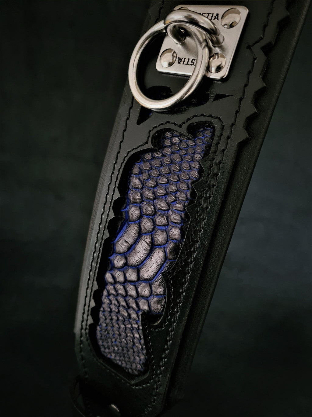 The ''Indigo'' collar by Bestia Dog Gear