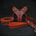 "EROS" BIG dog SET- Harness - collar - lead. Brown & Orange by Bestia Dog Gear
