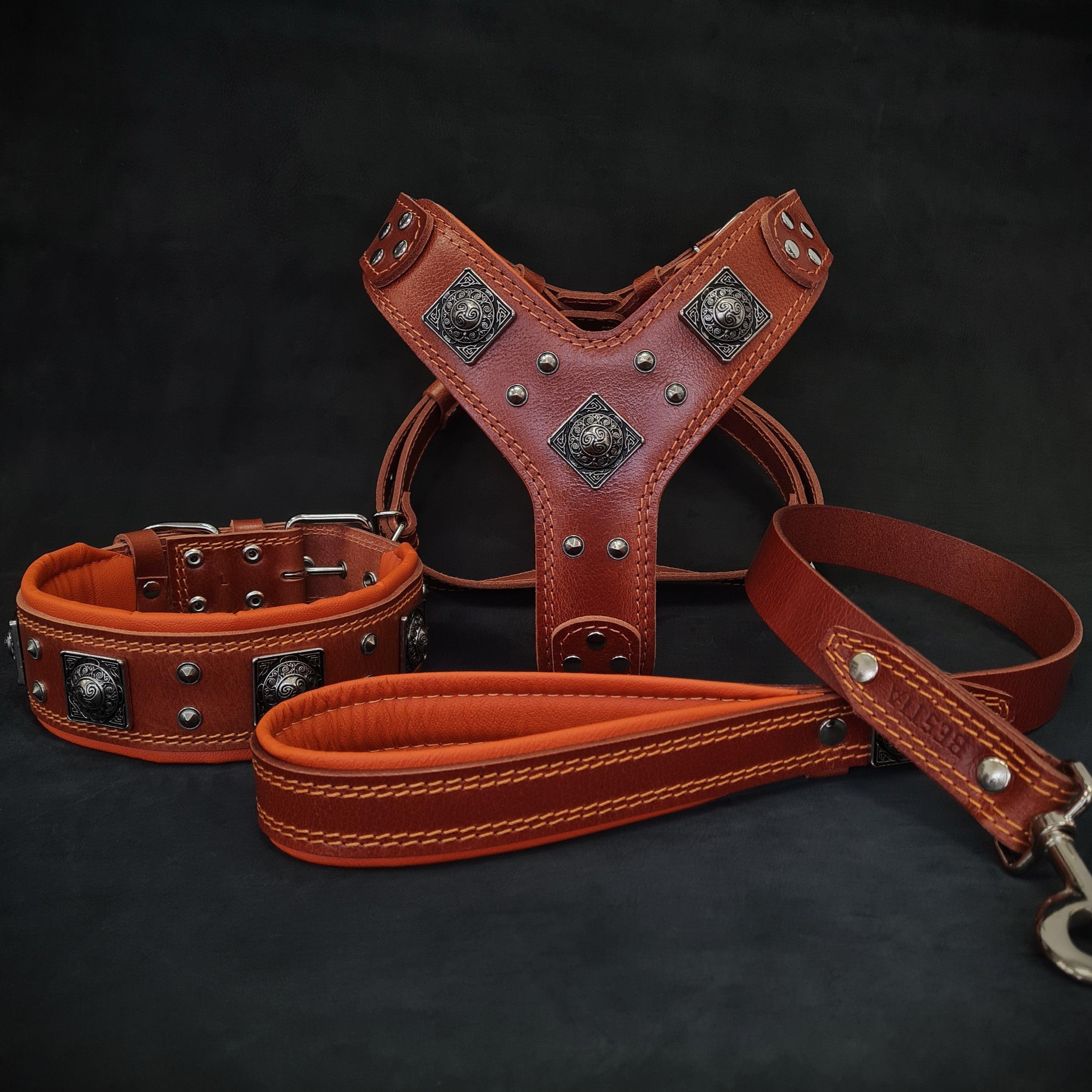 "EROS" BIG dog SET- Harness - collar - lead. Brown & Orange by Bestia Dog Gear