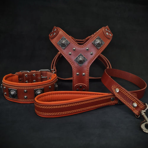 "EROS" BIG dog SET- Harness - collar - lead. Brown & Orange by Bestia Dog Gear
