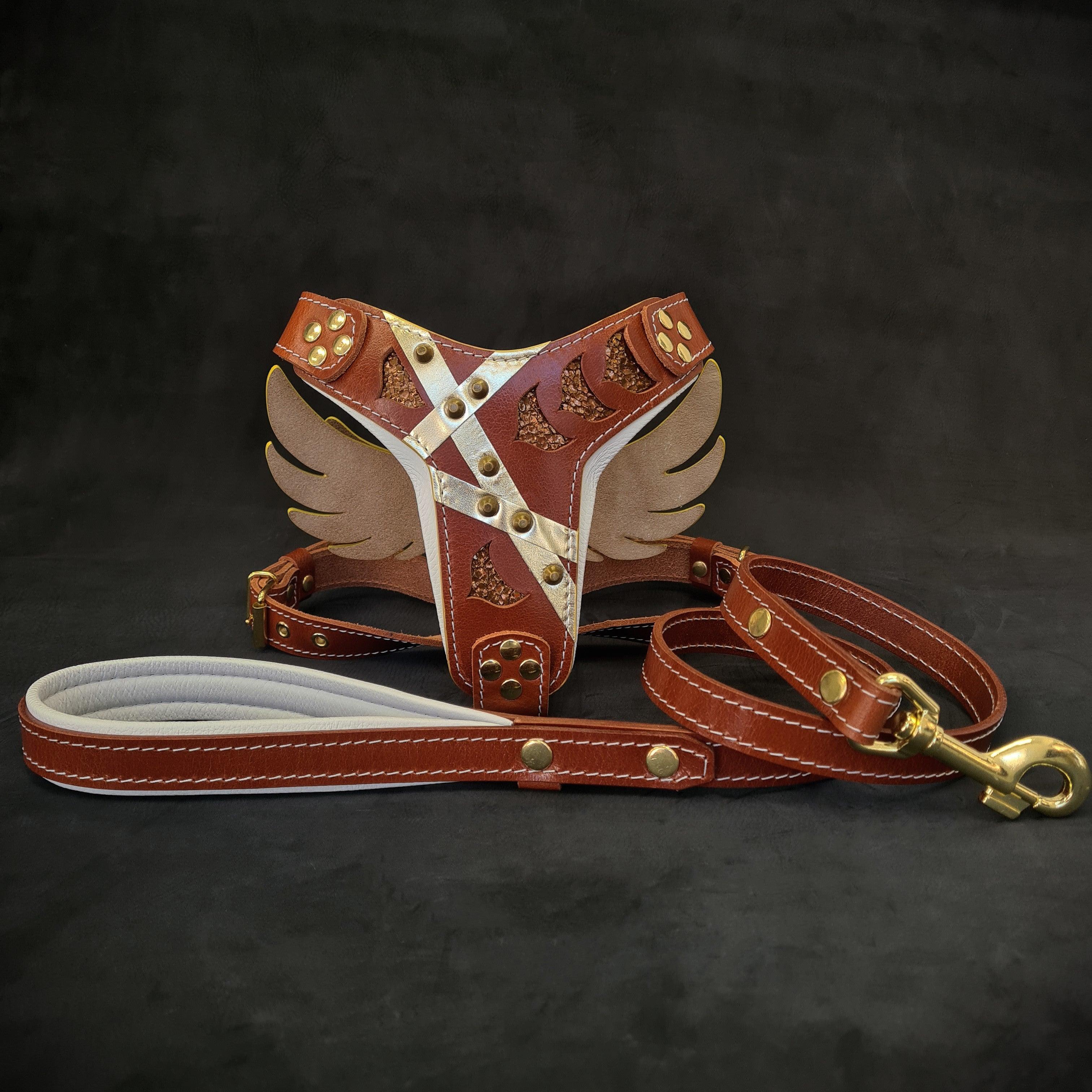 "Hermes" Set- harness & leash by Bestia Dog Gear