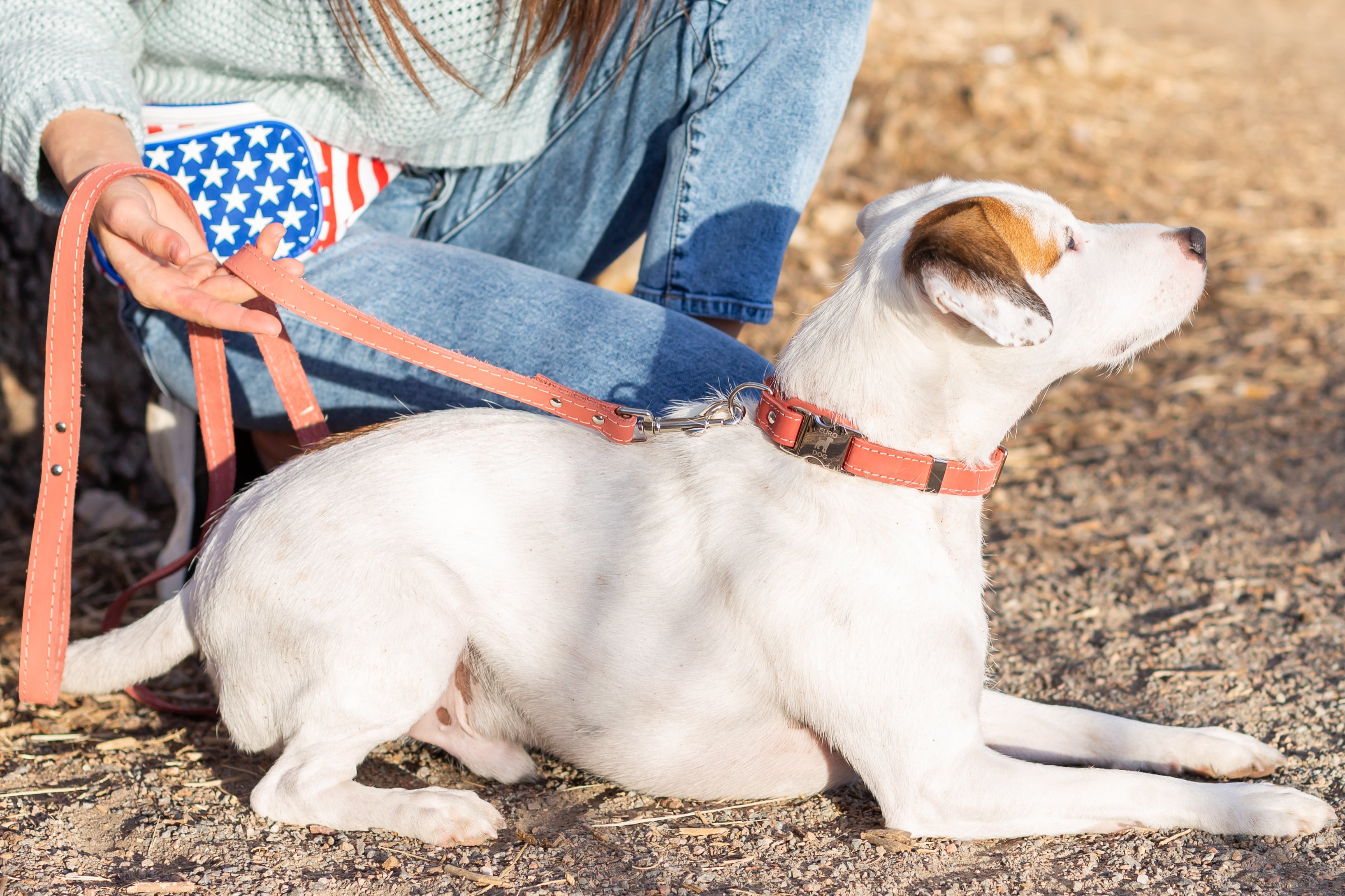 Quick-Release Style Leather Collar and Leash Set by Euro-Dog Collars and Leads