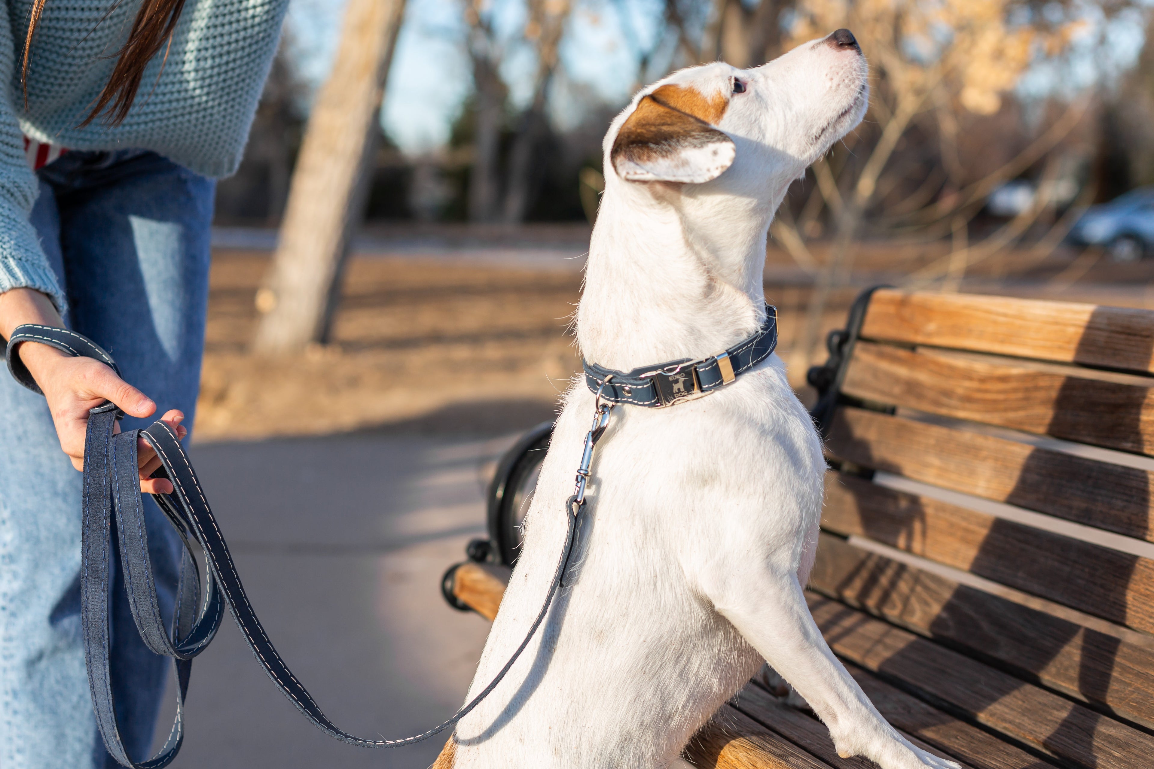 Pro Line Quick-Release Blue Jeans Leather Dog Collar with Metal Buckle by Euro-Dog Collars and Leads