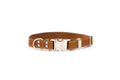 Pro Line Quick-Release Earth Brown Leather Dog Collar with Metal Buckle by Euro-Dog Collars and Leads
