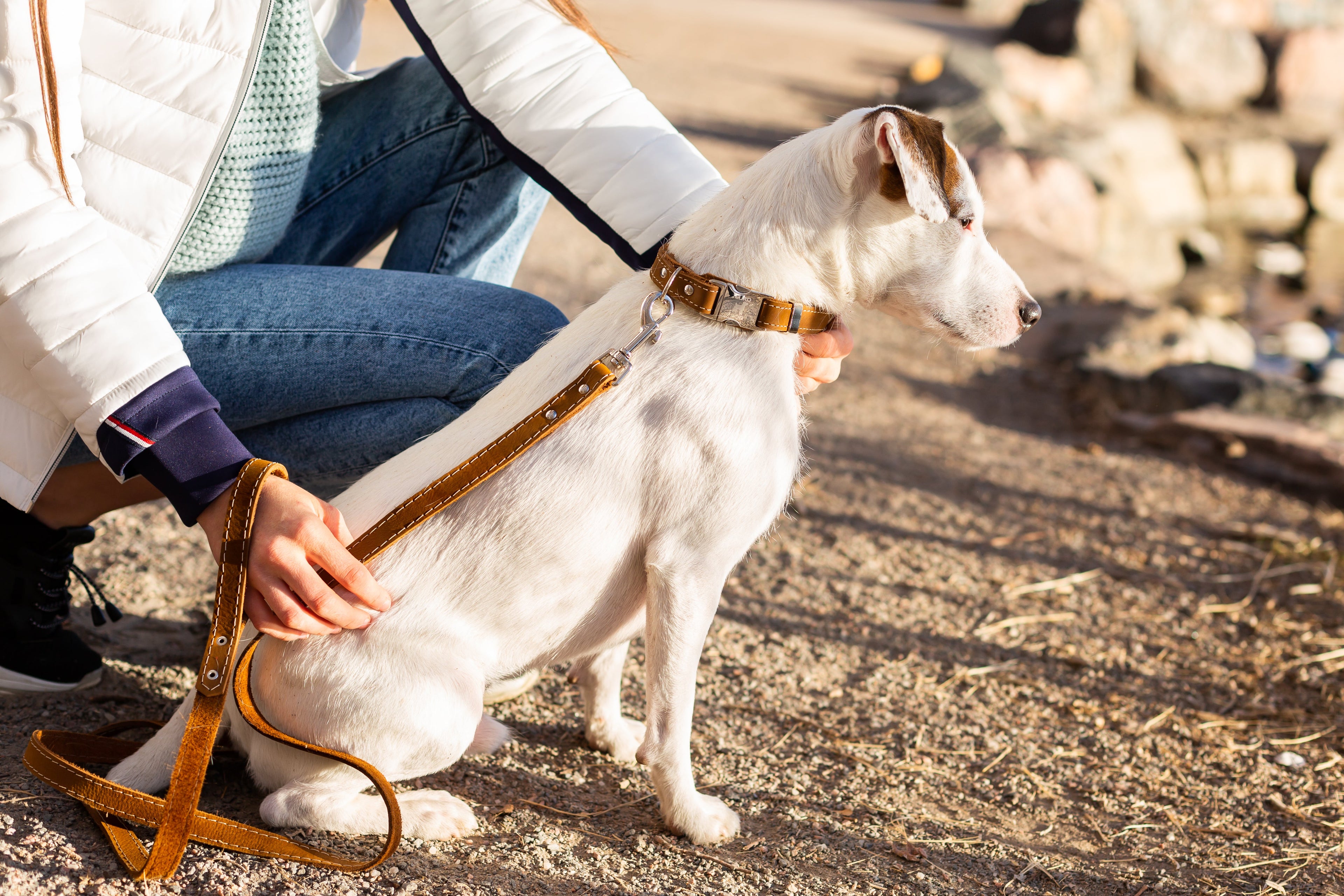 Traditional Earth Brown Leather Dog Leash by Euro-Dog Collars and Leads