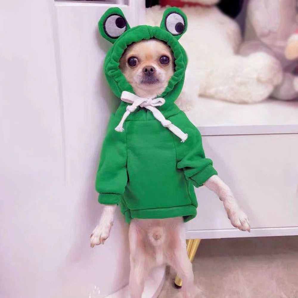 Cute Colorful Pet Clothing