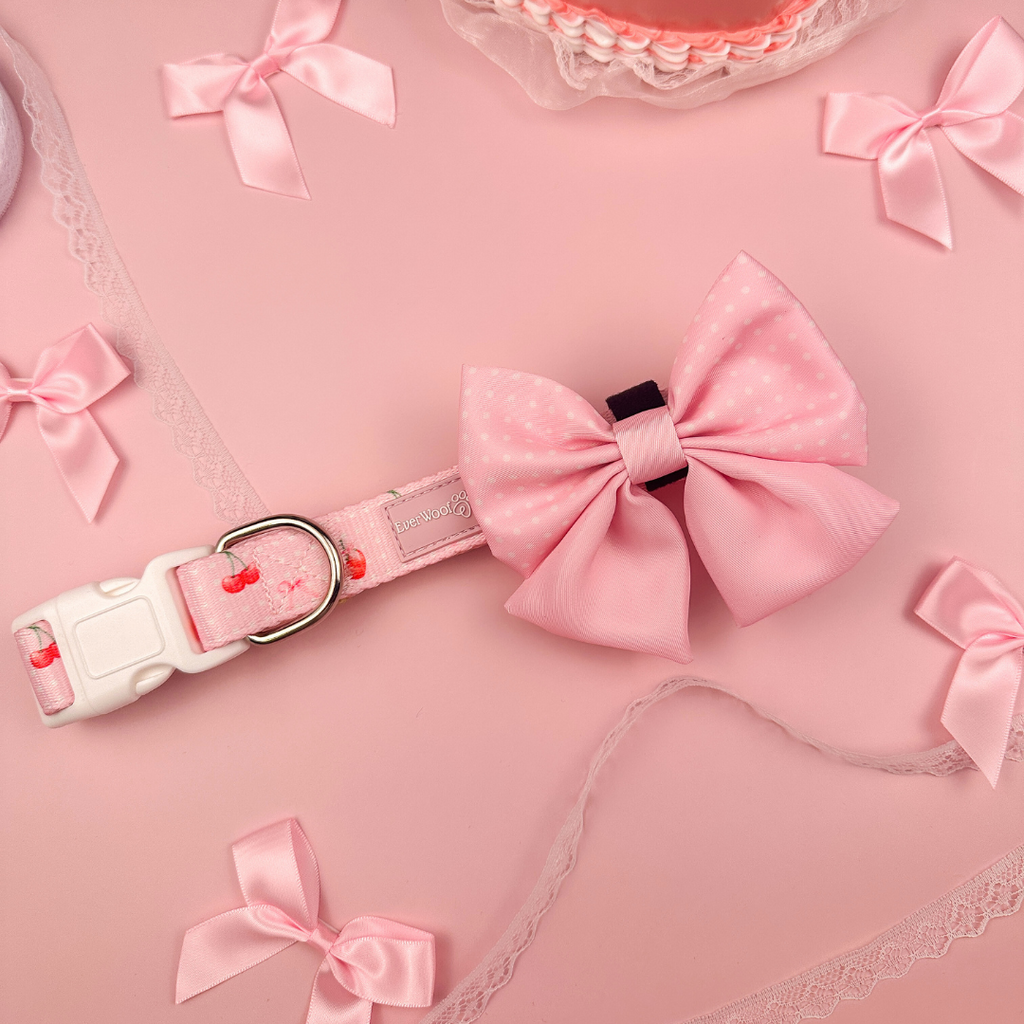Sweet Chérie Collar by EverWoof