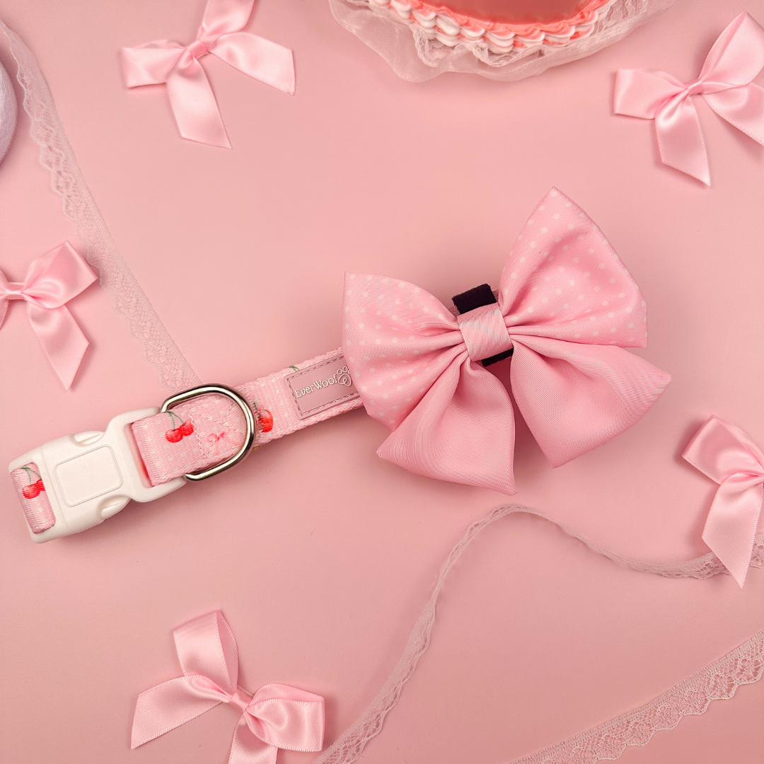 Sweet Chérie Collar by EverWoof