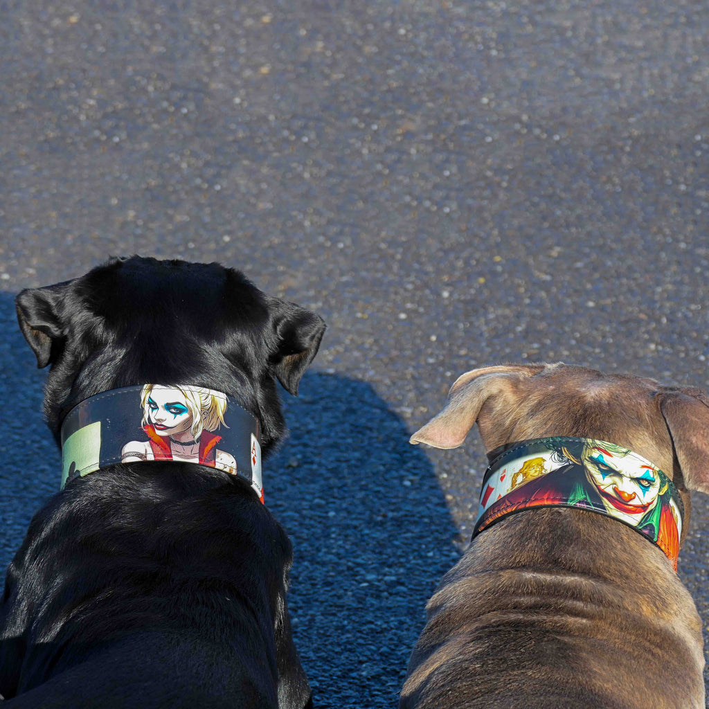 The Joker Limited Collar by Bestia Dog Gear