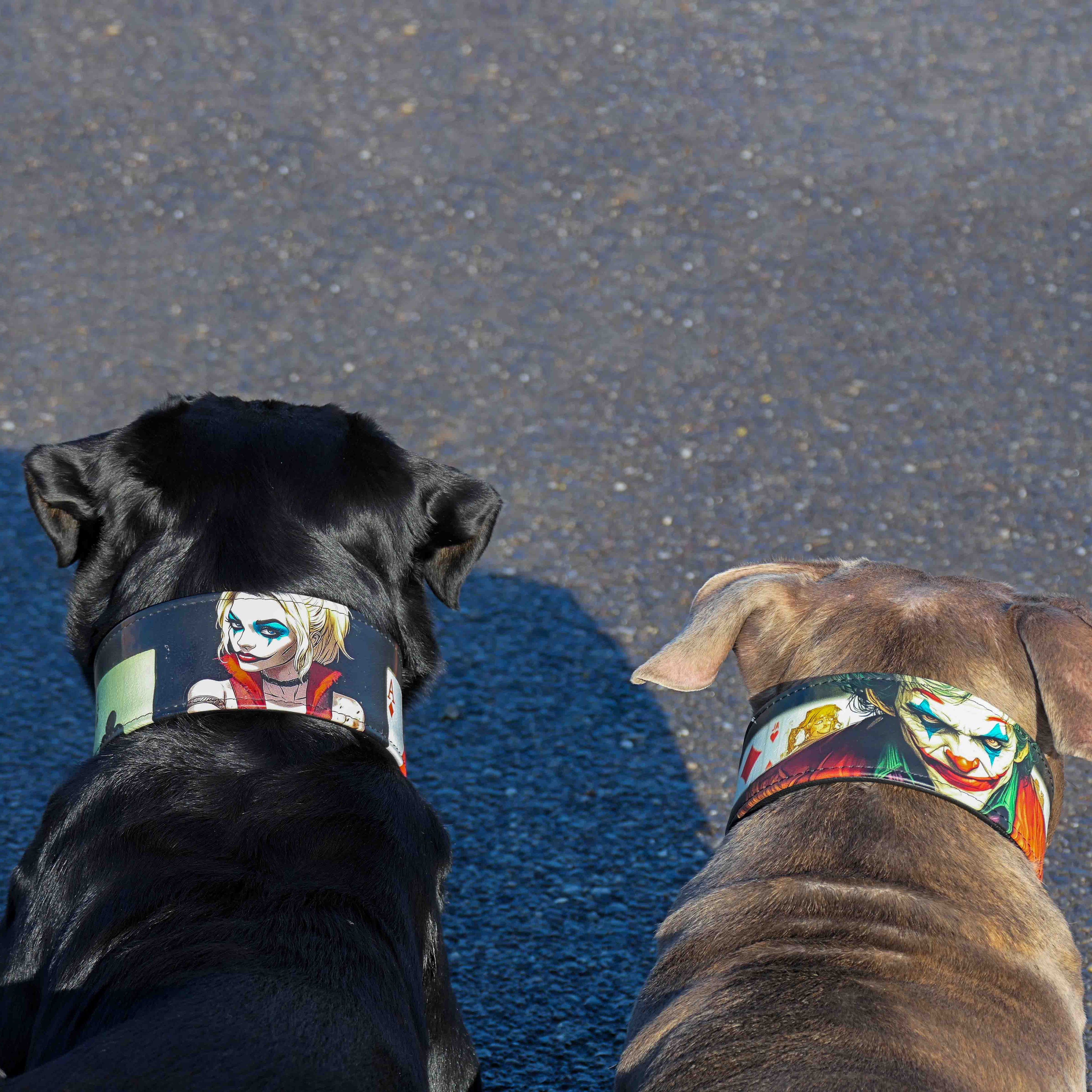 The Joker Limited Collar by Bestia Dog Gear