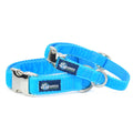 Turquoise Velvet Essential Martingale Dog Collar by 2 Hounds Design