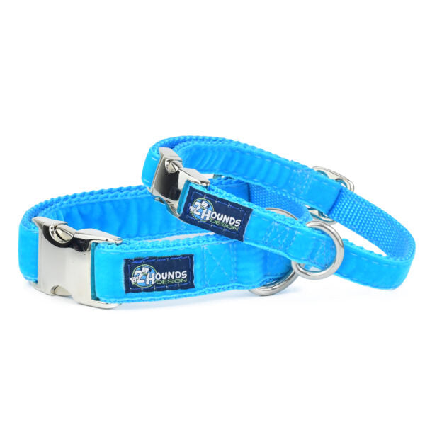 Turquoise Velvet Essential Buckle Martingale Dog Collar by 2 Hounds Design