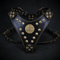 The ''Maximus'' harness Black & Gold Small to Medium Size by Bestia Dog Gear