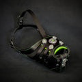 The ''Bijou'' Basket Muzzle Black & Green by Bestia Dog Gear