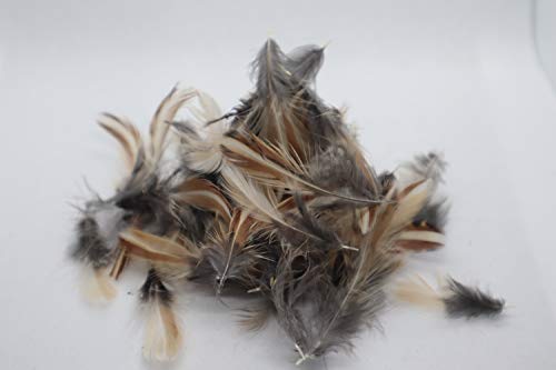 Rooster Feathers for Fly-Fishing or Crafts from Quail by Quailz.com by Undique LLC