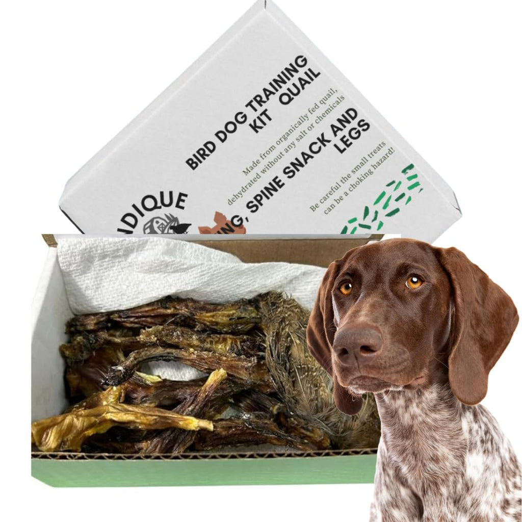Quail Wing Dog Training Kit - Nutritious Dog Treats and Quail Wing for Effective Dog Training Sessions - Reinforce Positive Behaviors with Training Treats - Not Suitable for Small Breeds by Quailz.com by Undique LLC