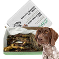 Quail Wing Dog Training Kit - Nutritious Dog Treats and Quail Wing for Effective Dog Training Sessions - Reinforce Positive Behaviors with Training Treats - Not Suitable for Small Breeds by Quailz.com by Undique LLC