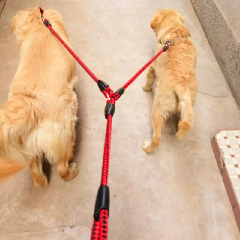 Strong Dual Dog Leash for Two Dogs by Love My Pet