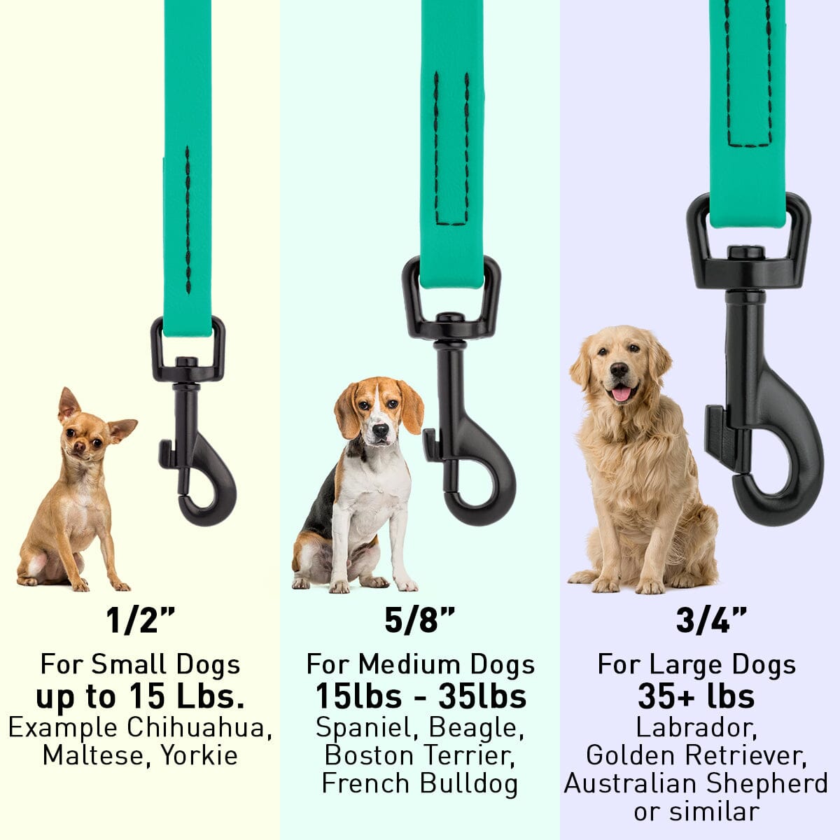 Biothane Waterproof Dog Leash, 4 ft by Dogline