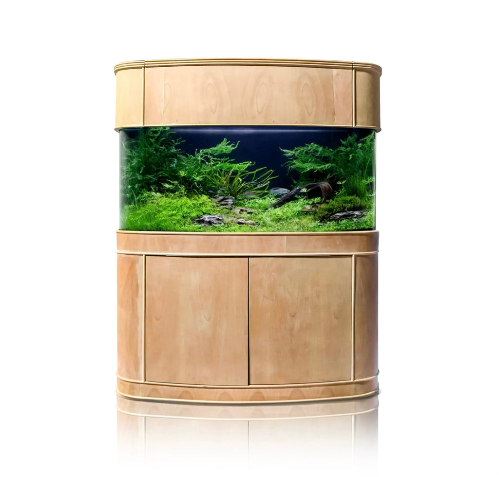 380 Gallon Seamless Glass Bowfront Reef-Ready Aquarium in Rose Cherry Real Wood Furniture