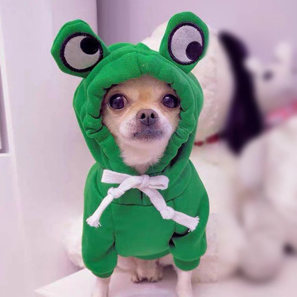 Cute Colorful Pet Clothing