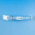Santorini Collar by EverWoof