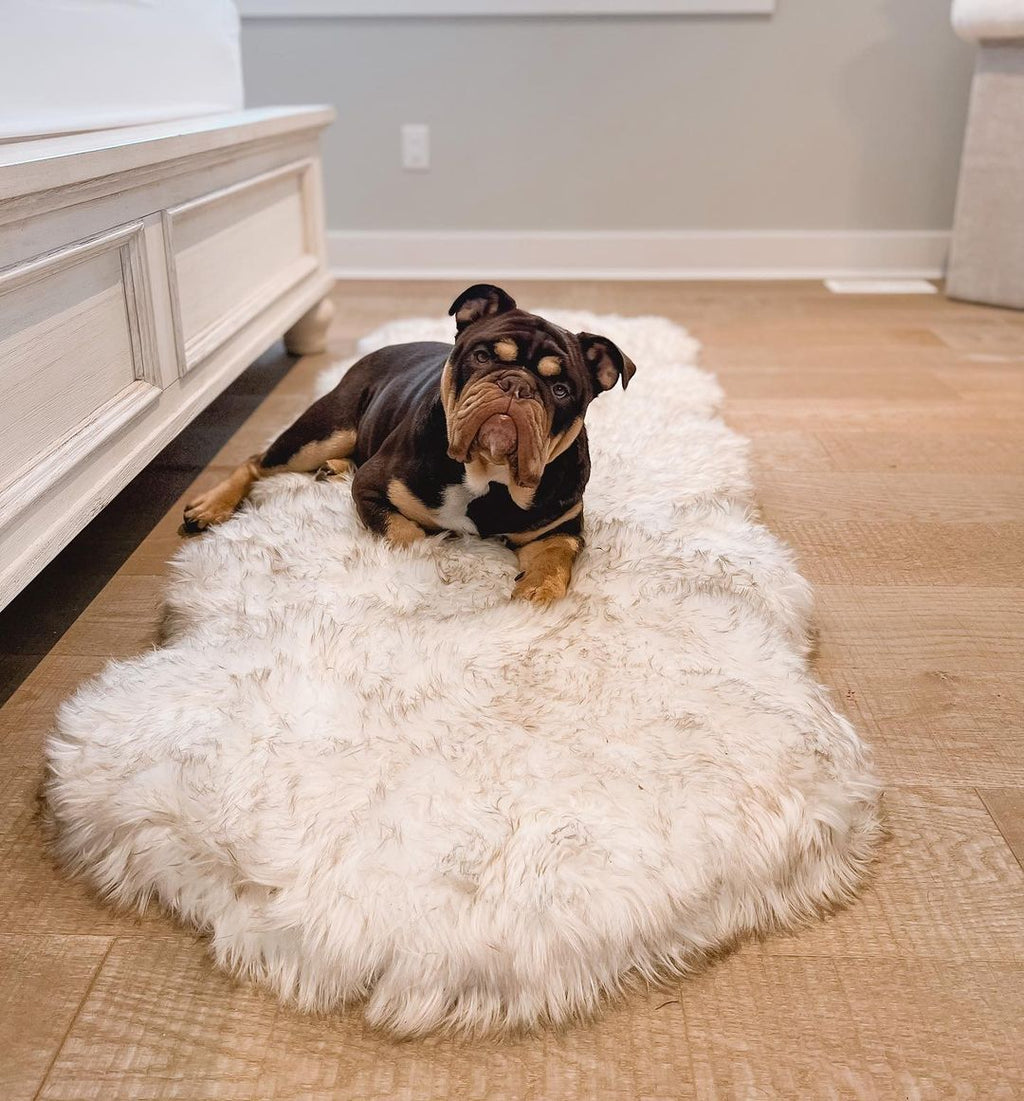 PupRug® Runner Faux Fur Memory Foam Dog Bed - Curve White with Brown Accents by Paw.com