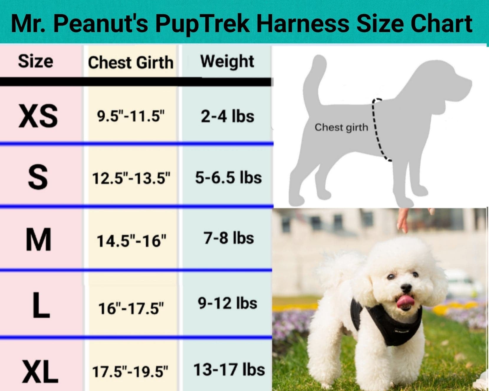 Mr. Peanut's PupTrek Soft Mesh Pet Harness with Matching Leash – Adjustable, Breathable, Choke-Free by Mr. Peanut's Pet Carriers