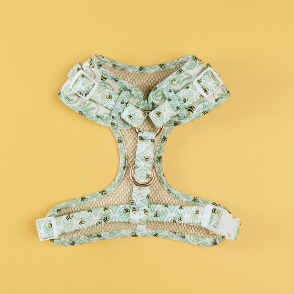 Little Honey Adjustable Harness by EverWoof