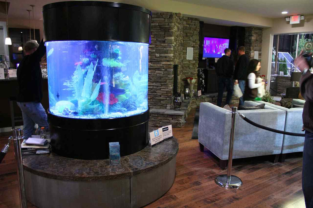 280g GLASS Cylinder Reef-Ready 48"x48"x36"H in Abyss Black Display Model by AQUA VIM