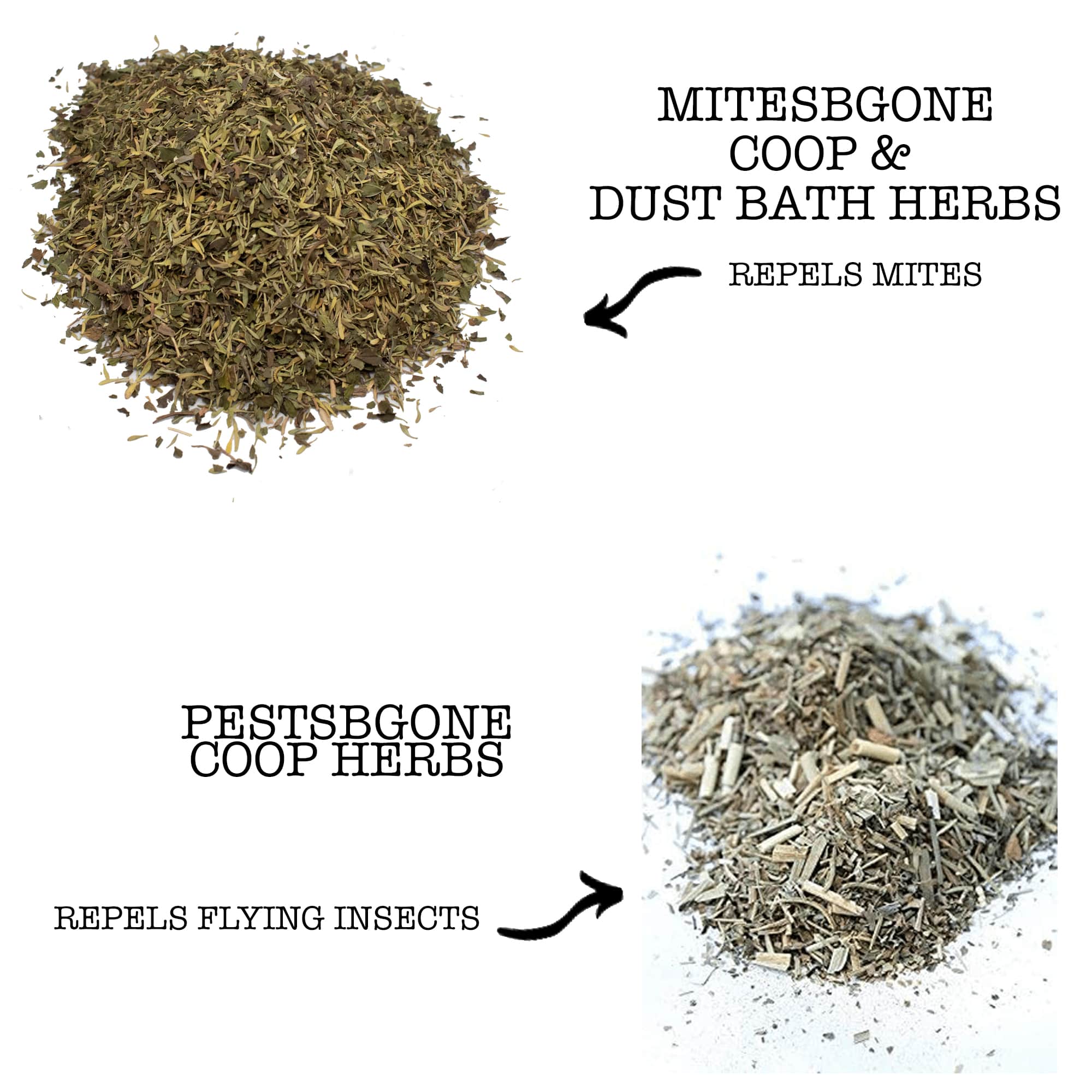 MitesBGone & PestsBGone Coop Herbs Bundle - 2 Blends In Bundle To Repel Pests by Dahlia Pets
