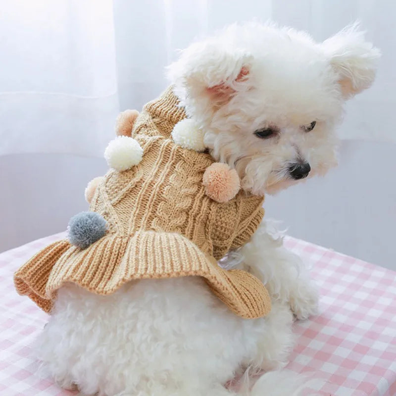 Sweet Pet Knit Sweater Dress
