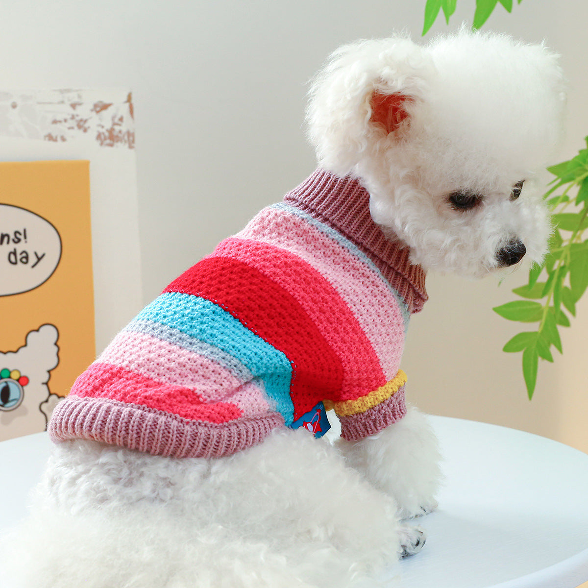 Comfortable Colorful Sweater by VetsPetStore