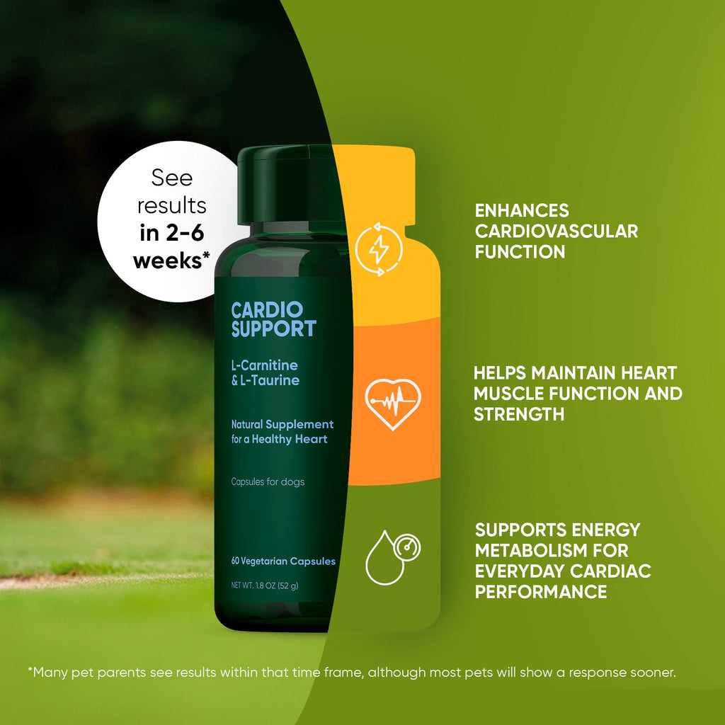 Cardio Support by Rooted Owl Pet Supplements