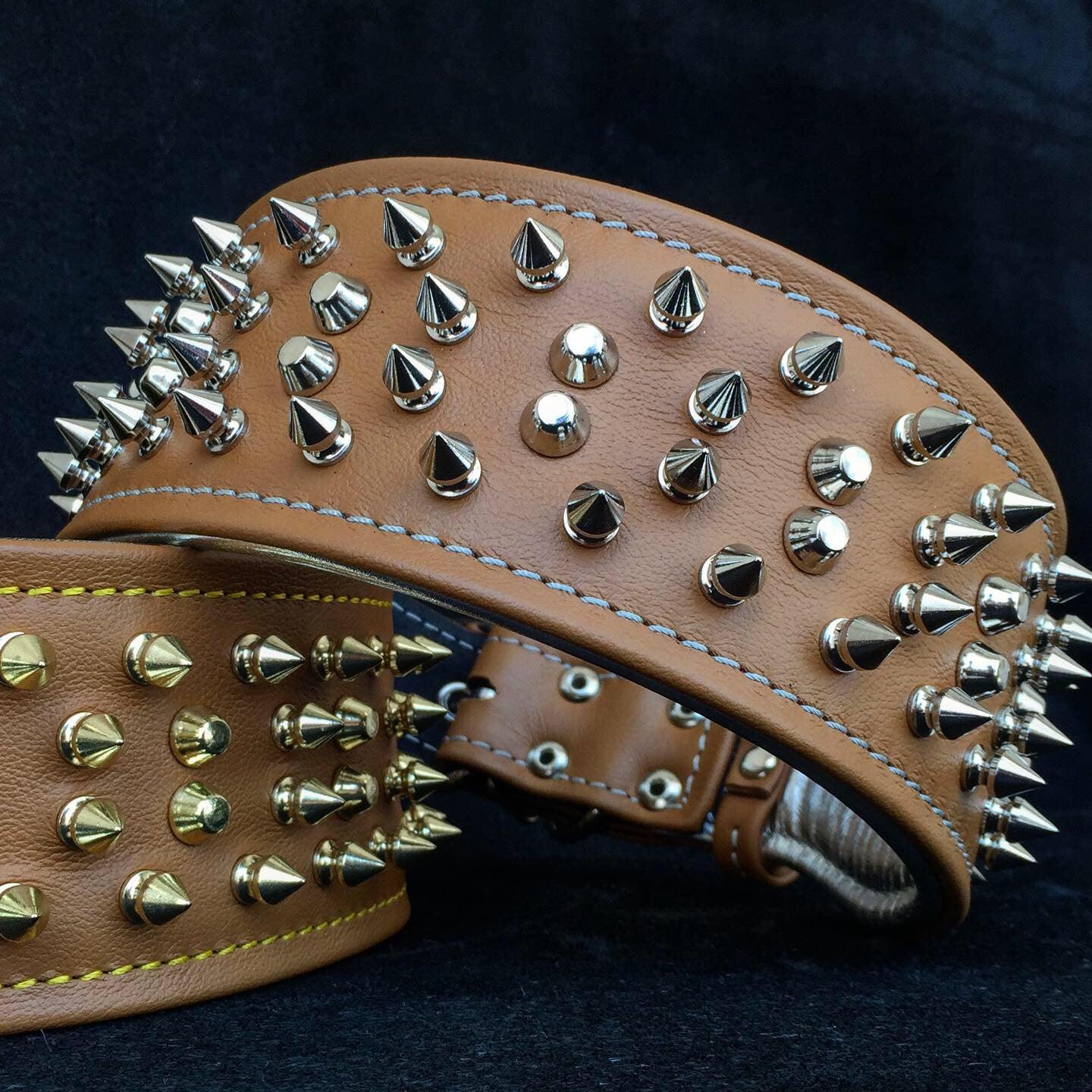 The "Crown" collar by Bestia Dog Gear
