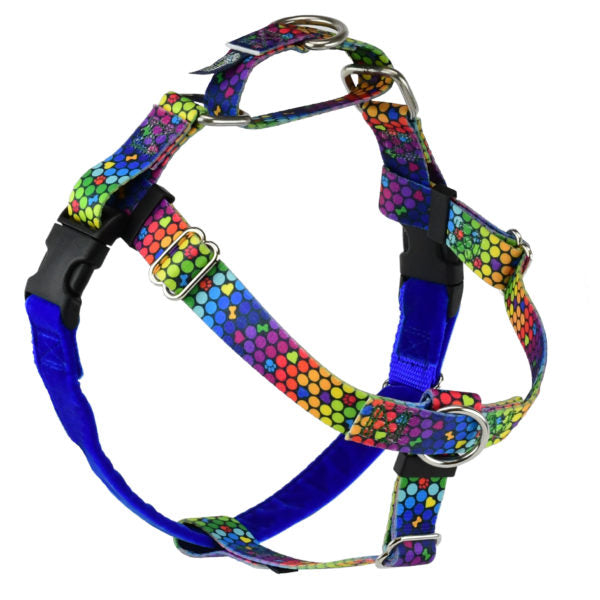 ROY G BIV Freedom No-Pull Dog Harness – EarthStyle by 2 Hounds Design