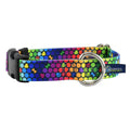 ROY G BIV Dog Collar – EarthStyle by 2 Hounds Design