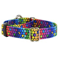 ROY G BIV Martingale Dog Collar – EarthStyle by 2 Hounds Design