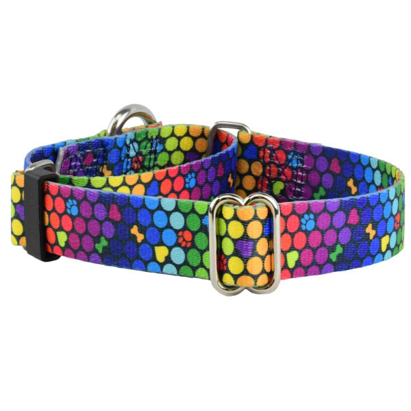 ROY G BIV Martingale Dog Collar – EarthStyle by 2 Hounds Design