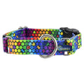 ROY G BIV Buckle Martingale Dog Collar – EarthStyle by 2 Hounds Design