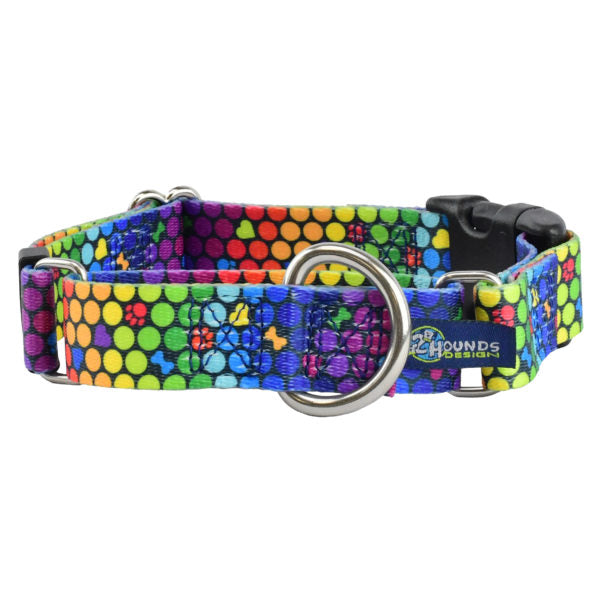 ROY G BIV Buckle Martingale Dog Collar – EarthStyle by 2 Hounds Design