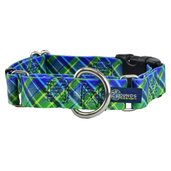 Electric Glow Green Plaid Buckle Martingale Dog Collar – EarthStyle by 2 Hounds Design