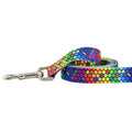 ROY G BIV Dog Leash – EarthStyle by 2 Hounds Design