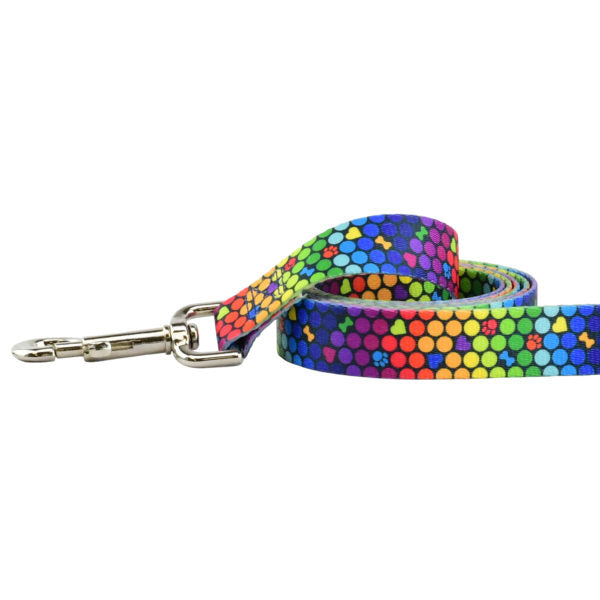 ROY G BIV Dog Leash – EarthStyle by 2 Hounds Design