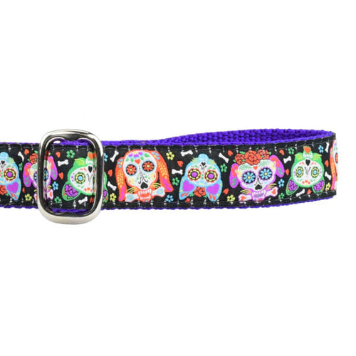 1″ XOLO – Sugar Skull Ribbon Dog Leash by 2 Hounds Design