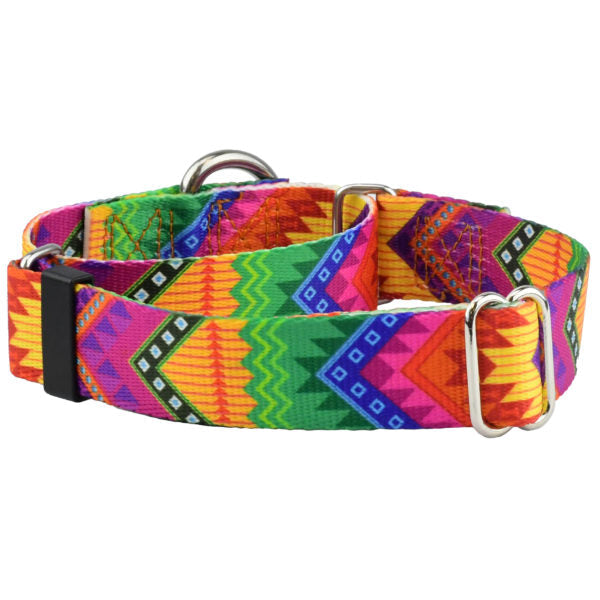 BFF (Best Friends Forever) Martingale Dog Collar – EarthStyle by 2 Hounds Design