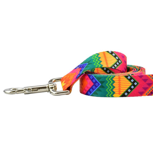 BFF (Best Friends Forever) Dog Leash – EarthStyle by 2 Hounds Design