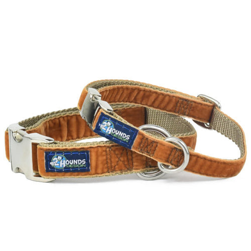 Antique Gold Velvet Essential Buckle Martingale Dog Collar by 2 Hounds Design